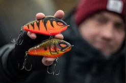 Daiwa PX Lazy Jerk Distance -Magasin De Matériel De Pêche 32 217457r 3