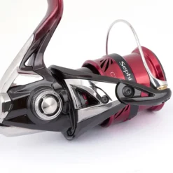 Shimano Sephia BB C3000S -Magasin De Matériel De Pêche 51SF26E030A 4