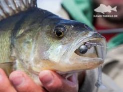 Keitech Easy Shiner -Magasin De Matériel De Pêche 58440BOWEr 4