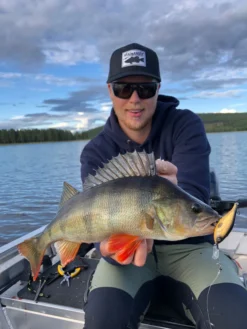 Headbanger Cranky Shad -Magasin De Matériel De Pêche CS 25 SS BKr 6