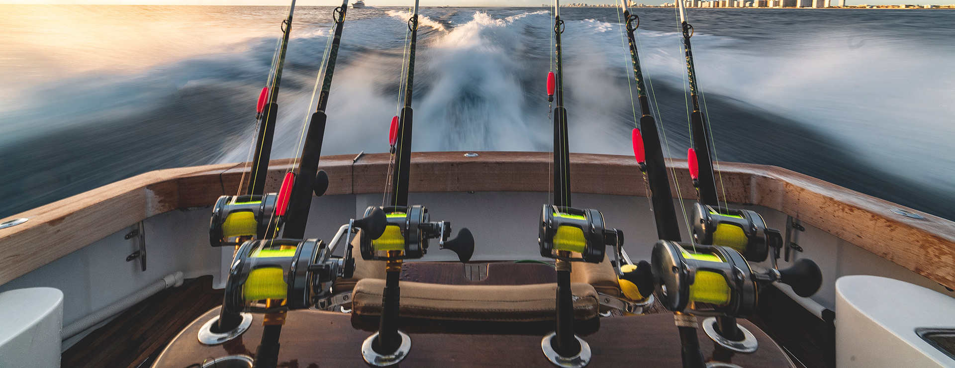 Magasin De Matériel De Pêche 1 Magasin De Matériel De Pêche -Magasin De Matériel De Pêche photo 1551131618 3f0a5cf594b4